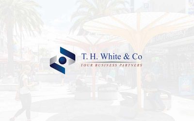 T H White & Co (Accountants & Auditors)
